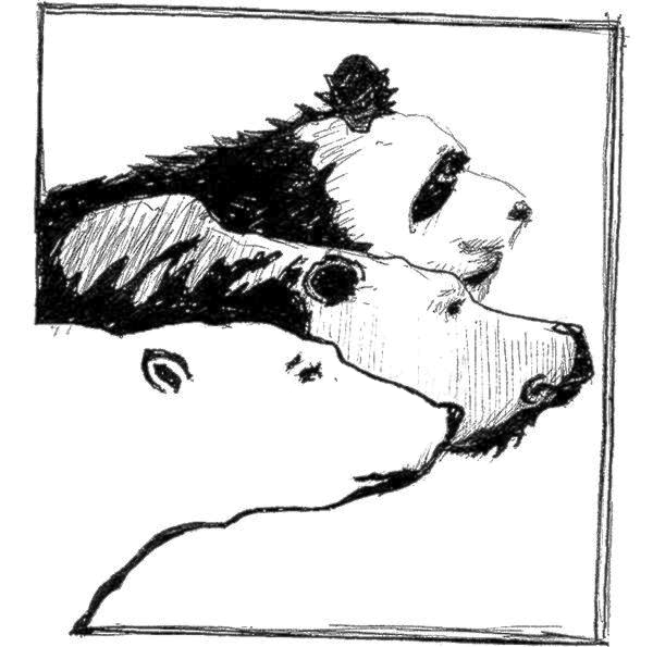 Paradox79 logo illustration